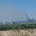 Barletta, nuovo incendio in zona Ariscianne
