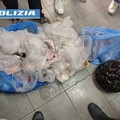 Sequestrati oltre 100 kg di pescato irregolare a Barletta e Andria