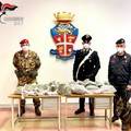 Maxi sequestro di droga a Barletta grazie ad un  "carabiniere a quattro zampe "