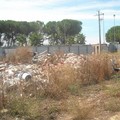 Gestione di rifiuti non autorizzata, sotto sequestro area in via Vecchia Minervino a Barletta
