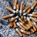Fergola (FdI): «Sindaco, rispetti le norme sui mozziconi di sigarette»