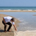 Le dichiarazioni social del sindaco Cannito sulla vicenda del canale H