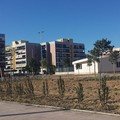 Avviso pubblico per creare un orto sociale presso il CRR di Barletta