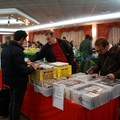 Expovinile 2019, tutto pronto per la fiera nazionale a Barletta