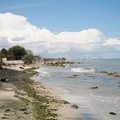  "Puliamo il mondo 2014 ": pulizia della spiaggia libera di Ponente e di Ariscianne