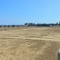 Pulizia sulle spiagge di Barletta, il sindaco rivolge un appello ai cittadini