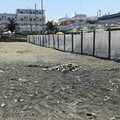 Spiaggia libera a Levante e degrado, pericolo per adulti e bambini