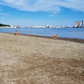 Barletta pronta per l'estate: pulizia straordinaria delle spiagge