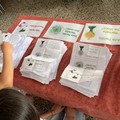 Partiti, scrutatori e voti: le elezioni degli studenti dell'IC Mennea