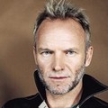 Sting a Molfetta