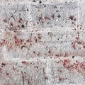 Strade sporche di sangue, rissa nel centro storico di Barletta