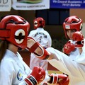 Taekwondo, esami di grado in vista degli europei di Praga