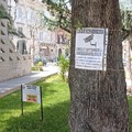 A Barletta telecamere in piazza Plebiscito contro il vandalismo