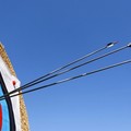 Arcieri del Sud: risultati eccellenti nella Fase Nazionale dei Giochi della Gioventù