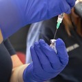 Nella Bat il 60% dei cittadini over 12 ha ricevuto la terza dose di vaccino