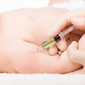 Vaccinazioni non in regola per alcuni minori, si chiede l'intervento della Procura