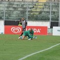 Calcio, la photogallery di Viareggio-Barletta 3-0