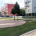 Regolamento del verde urbano, soddisfatta Legambiente Barletta