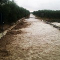 Coldiretti Puglia, piove sul bagnato nelle campagne pugliesi