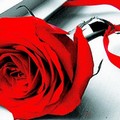 Vogliamo anche le rose, oggi conferenza a Palazzo della Marra