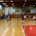 Serie D, Asd Volley Barletta ko con onore contro la capolista