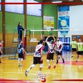 Volley maschile, la Redfox Volley Barletta chiude la regular season con una vittoria: nei playoff sfiderà Polignano e Squinzano