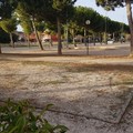 Il verde pubblico di Barletta tra degrado e vandalismi