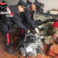 Auto rubate a Barletta, arrestati i due pregiudicati cerignolani