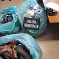 Mercato settimanale, ancora merce sequestrata dalla Polizia locale di Barletta