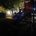 Buio pesto nel parco giochi di via Chieffi