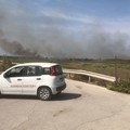 Secondo incendio a Barletta: brucia anche un'area sulla costa