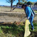 Passeggiata ecologica a Barletta, l’evento a cura dell’associazione Plastic Free