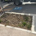 Il quartiere Medaglie d’Oro tra conche pericolose, alberi assenti e mezzi pesanti in transito