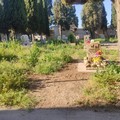 Rete Civica Barletta: «Sul degrado del cimitero servono risposte serie, non offese ai cittadini»