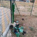 Area cani in zona 167, la segnalazione di un cittadino: «Grave stato di abbandono»