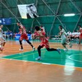 Levante Nuova Cestistica Barletta, netta vittoria contro la Fortitudo Trani
