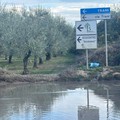 Via delle Casermette, Oronzo Carli: «Ma cosa state aspettando per fare i lavori?»