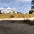 Svolta per la zona 167. Comitato di quartiere: «Vittoria dei cittadini, ora cronoprogramma certo»