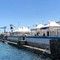 Dalla sagra della castagna alle regate: una domenica tra mare, sport e socialità alla Lega Navale Barletta