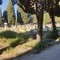 «Cimitero di Barletta: degrado e abbandono senza rispetto»