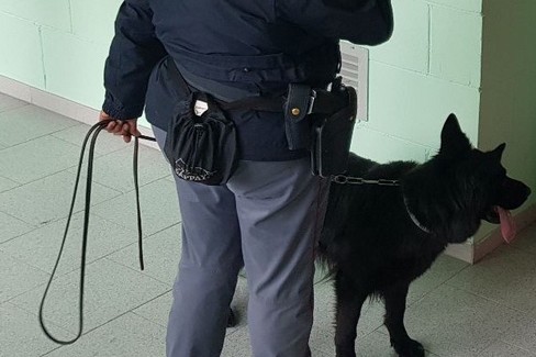Faro, il cane poliziotto