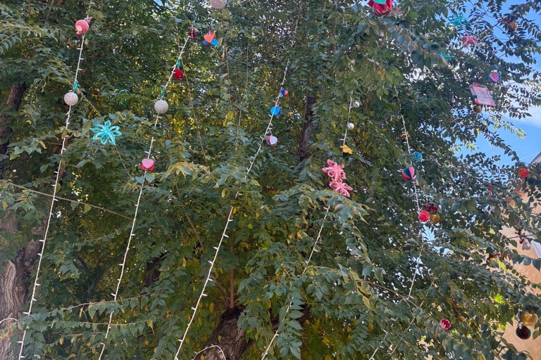 Alberi di Natale in via Vitrani