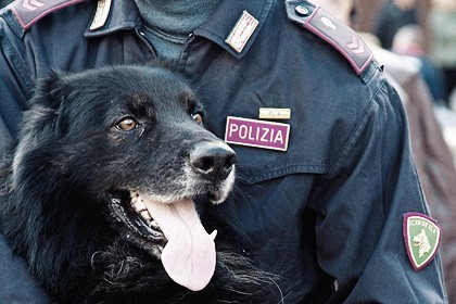 Unità cinofili della Polizia