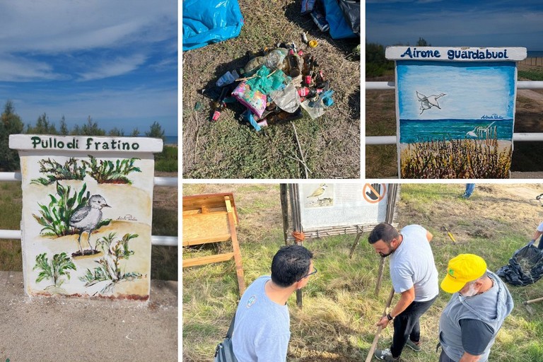 Amare la litoranea: Legambiente Barletta in prima linea per la pulizia della spiaggia