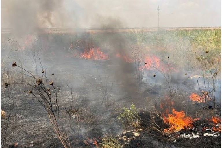 Crisi climatica