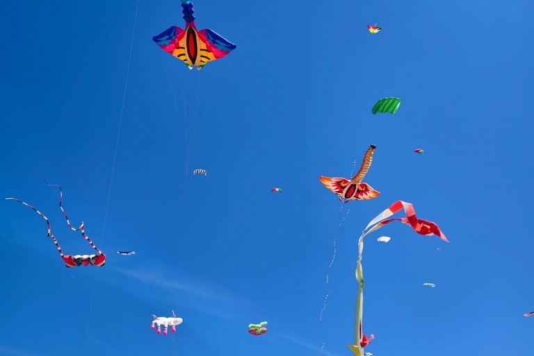 Festival dell’aquilone