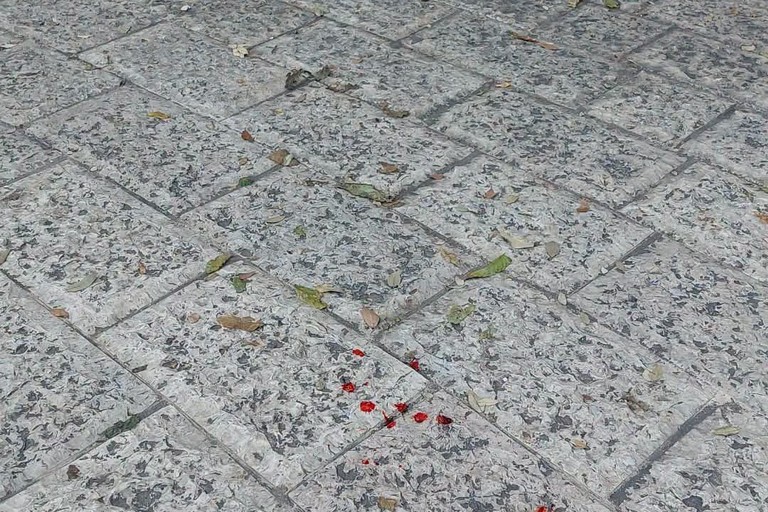 Rissa piazza Plebiscito