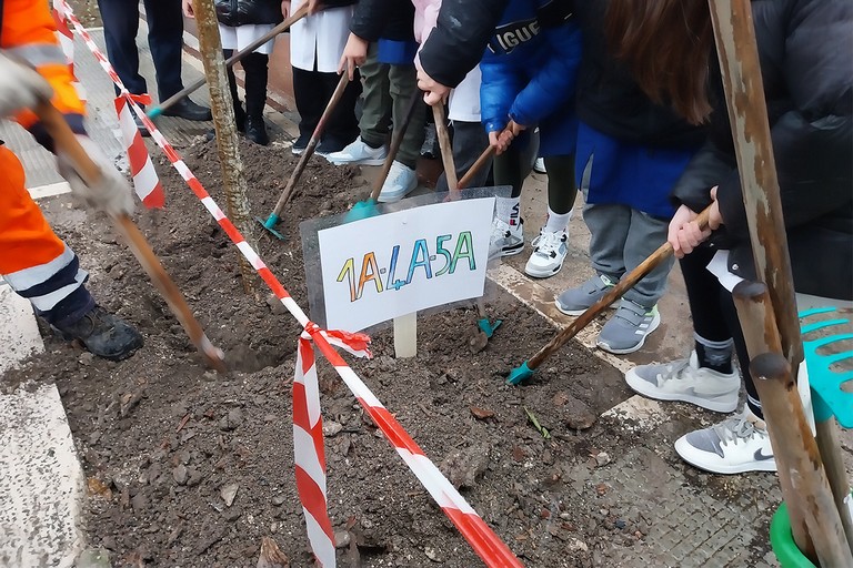 festa albero. <span>Foto Cosimo Campanella</span>