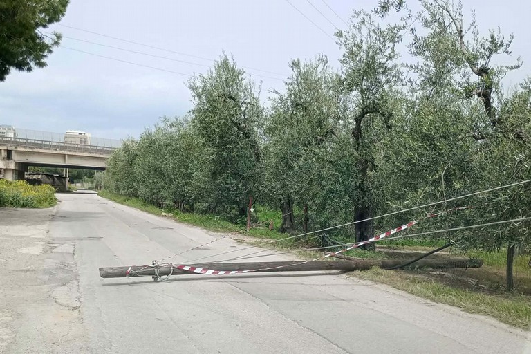 Traliccio caduto Barletta