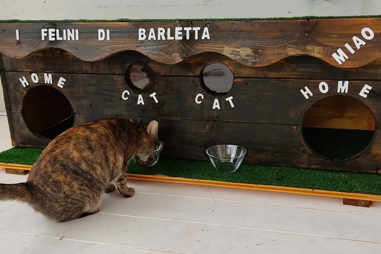 Mangiatoia per i gatti di Barletta
